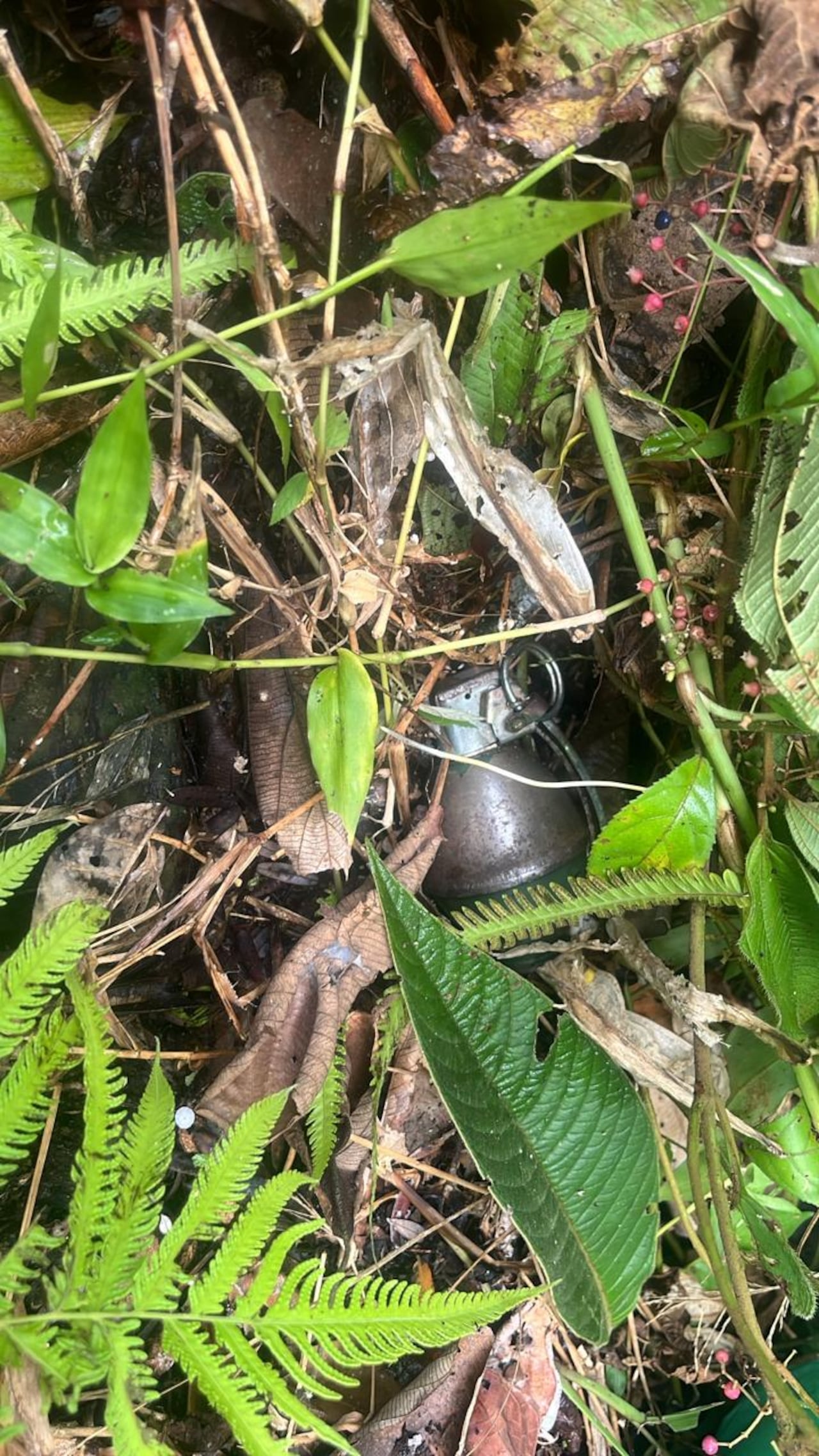En el lugar encontraron una granada de fragmentación, indicar el informe del Ejército.
