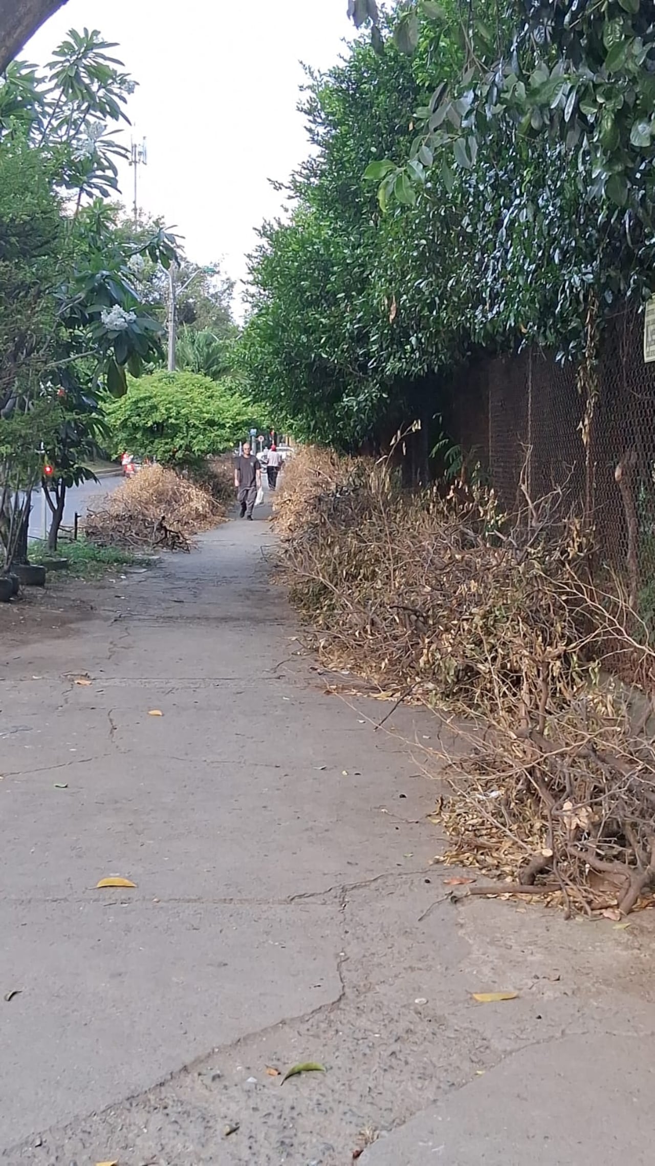 Este es el panorama, en los alrededores del polideportivo.