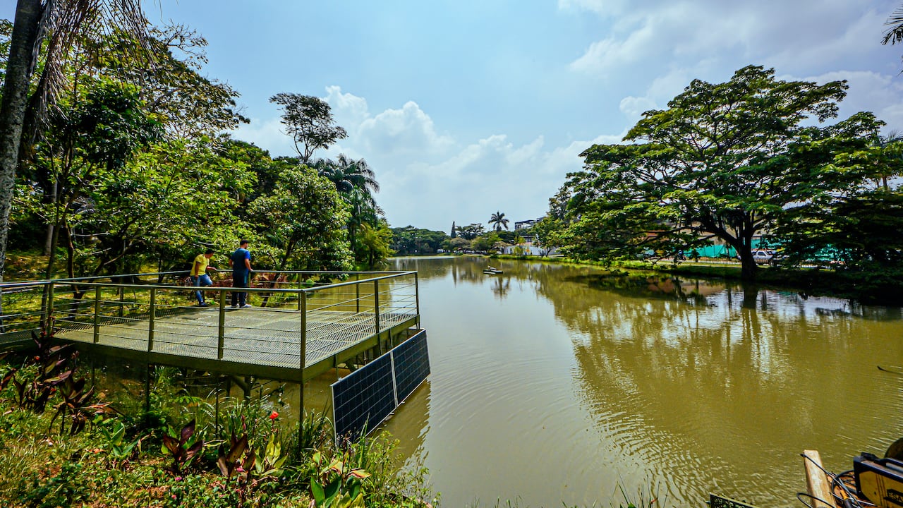 Reportaje gráfico. Humedal Lago de la Babilla Cali Valle del Cauca.