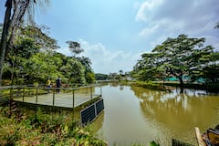 Reportaje gráfico. Humedal Lago de la Babilla Cali Valle del Cauca.