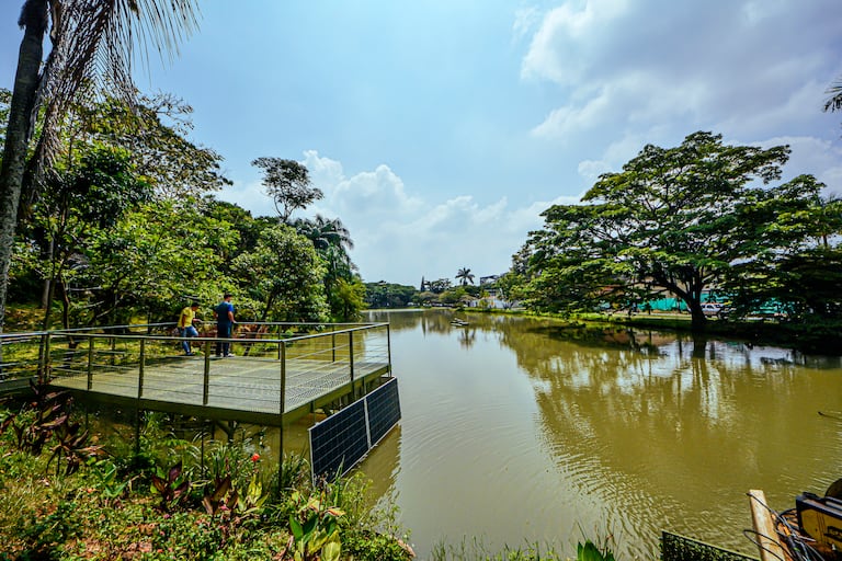 Reportaje gráfico. Humedal Lago de la Babilla Cali Valle del Cauca.