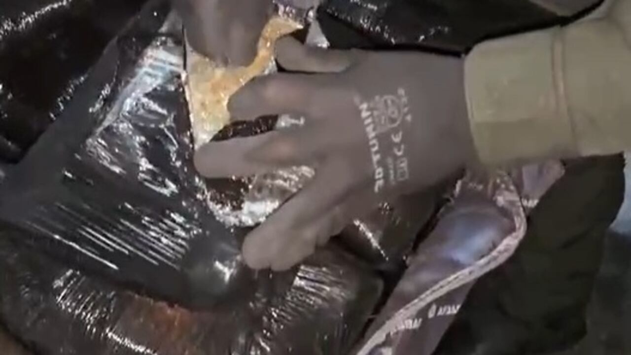 "La marihuana creepy está genéticamente modificada para que sea más adictiva e incrementar así las ganancias", explicó la Policía.