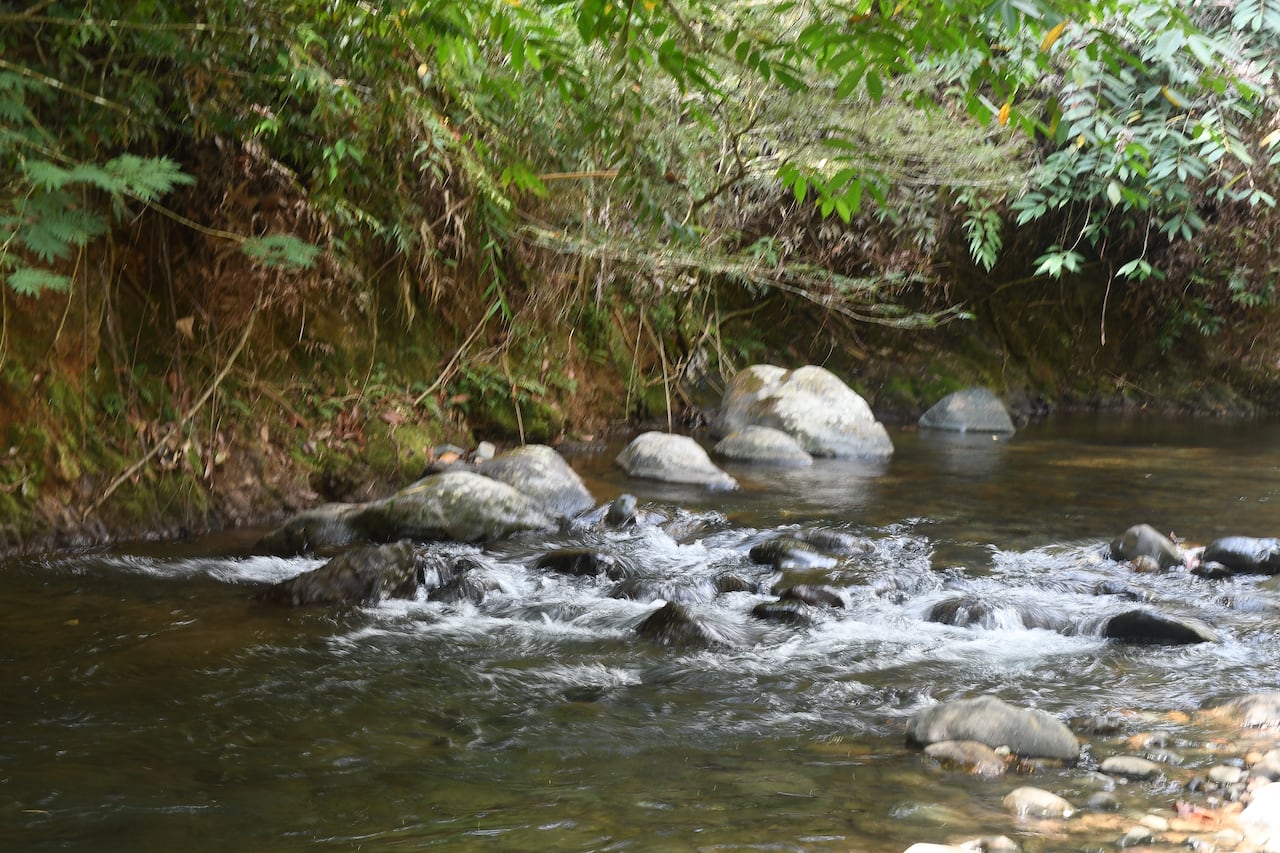 Cali: La bocatoma La Reforma, operada por EMCALI, se encuentra en el corregimiento de Villa Carmelo y capta agua del río Meléndez