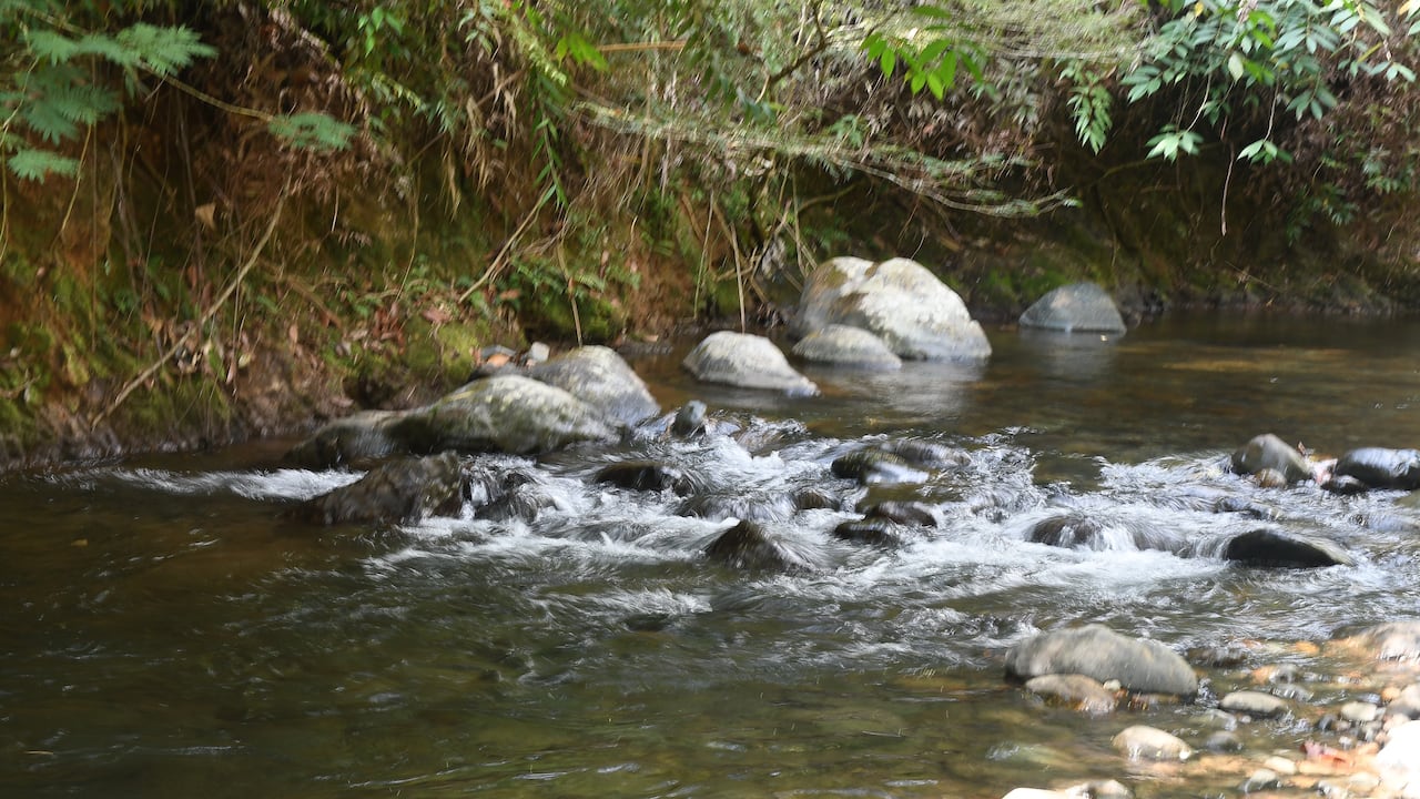 Cali: La bocatoma La Reforma, operada por EMCALI, se encuentra en el corregimiento de Villa Carmelo y capta agua del río Meléndez