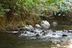 Cali: La bocatoma La Reforma, operada por EMCALI, se encuentra en el corregimiento de Villa Carmelo y capta agua del río Meléndez