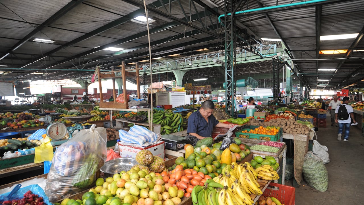 Galería El Porvenir