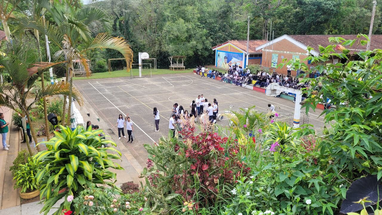 En las institución los niños desde preescolar hasta 11 aprenden sobre las labores agrícolas y pecuarias.