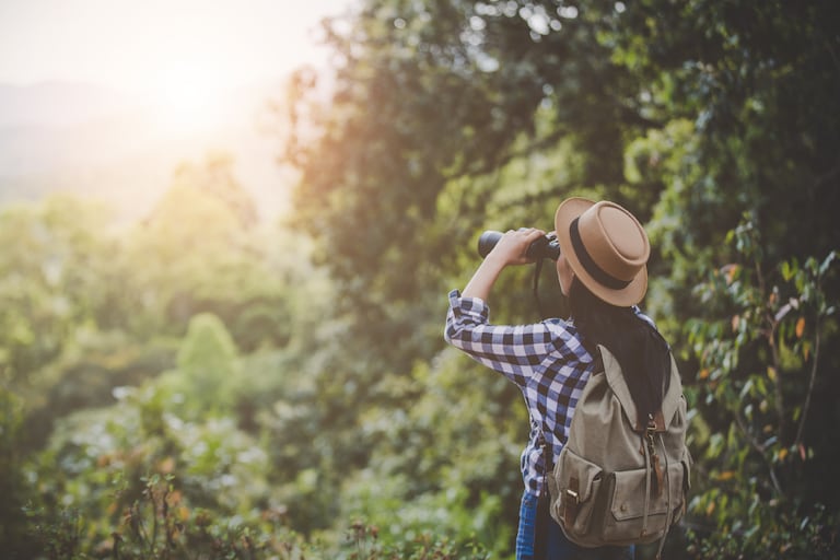 Un sitio ideal para reconectar con la naturaleza, explorar senderos ecológicos, y avistar aves