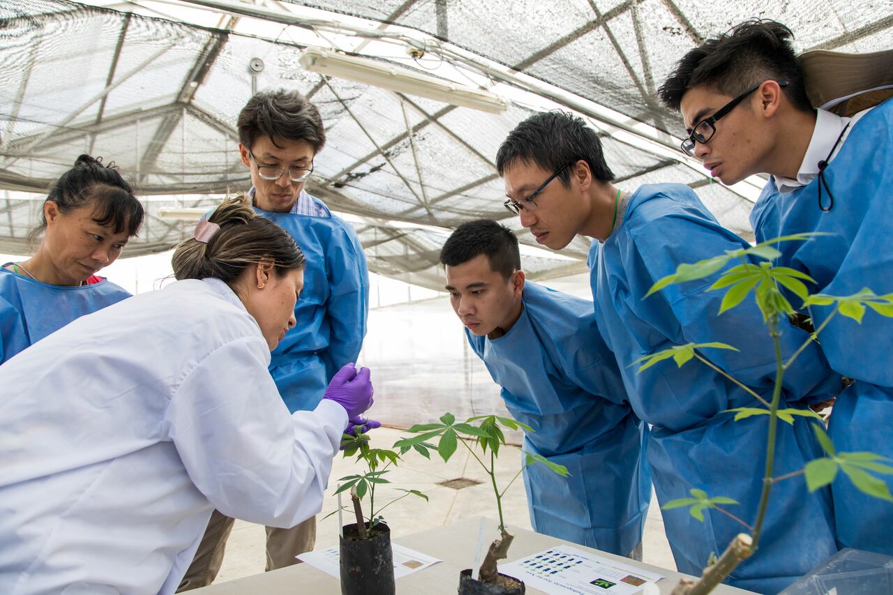 . El departamento no solo es reconocido por su capacidad productiva, sino también por albergar algunos de los centros de investigación agrícola más importantes de América Latina