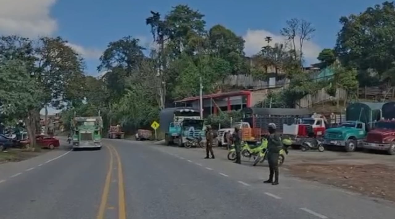 "Nuestros policías si permanece en varios puntos de esta carretera internacional", expreso el comandante de esta institución en el Cauca, coronel