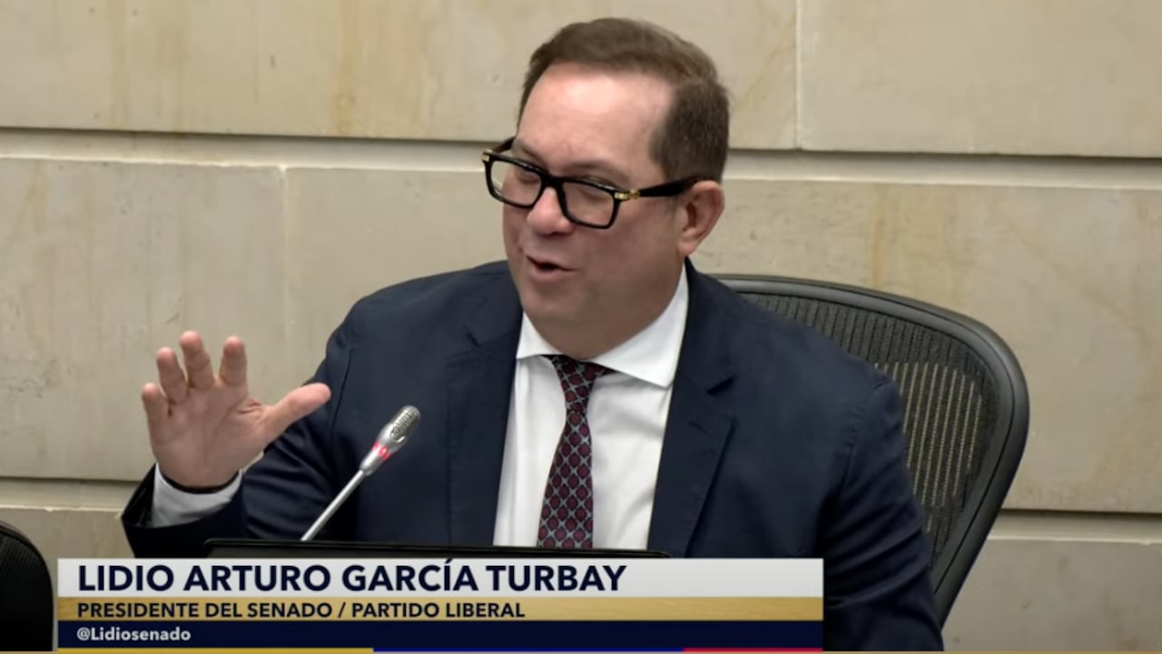 Lidio García Turbay, presidente del Senado, durante el debate al Presupuesto 2026, en plenaria.