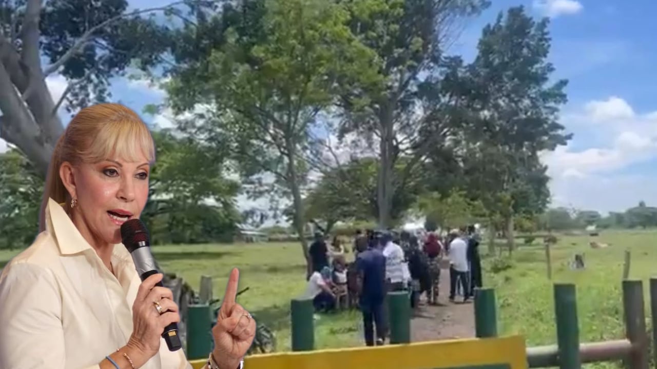 La gobernadora del Valle del Cauca, Dilian Francisca Toro, ha insistido en que se debe priorizar a las comunidades negras, indígenas y campesinas del Valle a la hora de adjudicar tierras en el departamento.