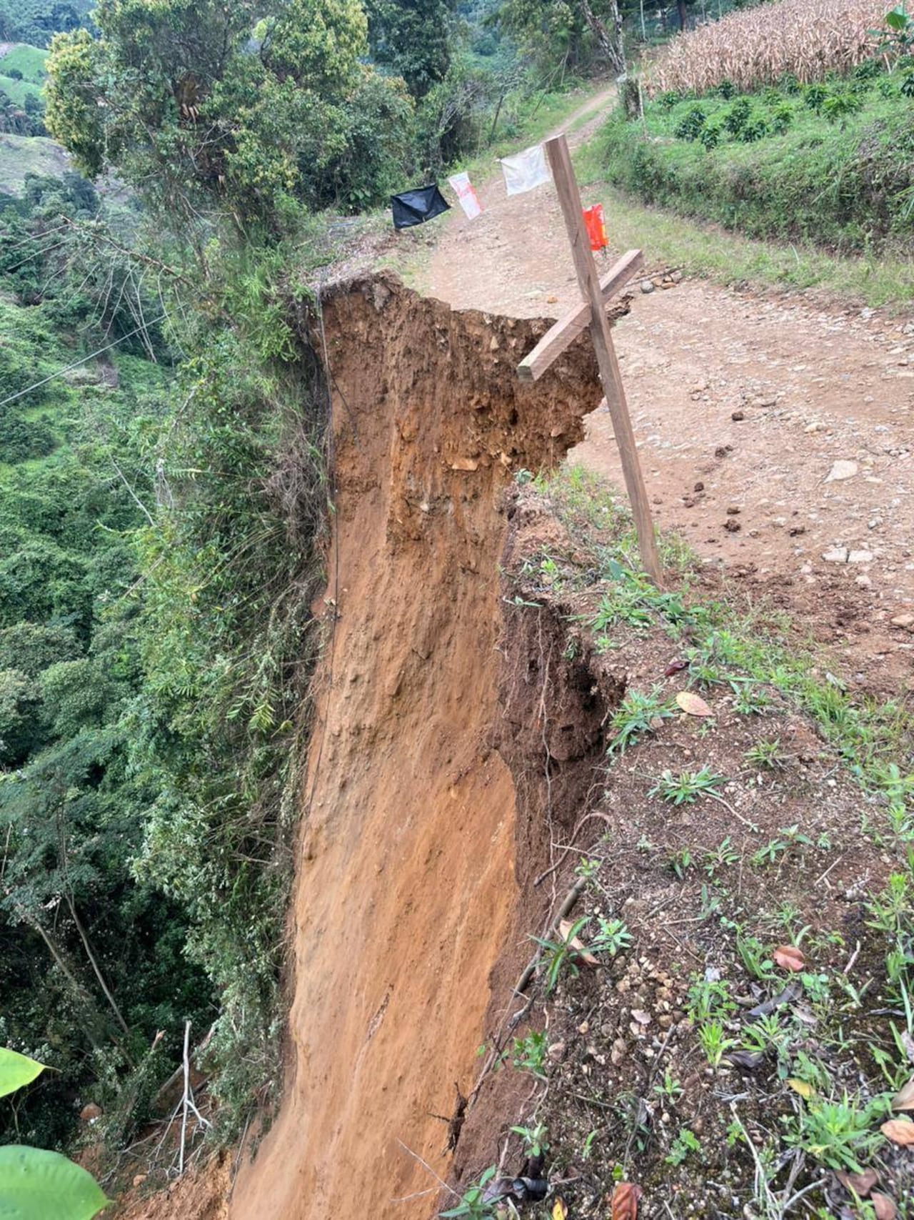 De acuerdo con el reporte preliminar de las autoridades de ese departamento, se han presentado seis eventos en cuatro municipios, entre ellos fuertes vientos, crecientes súbitas, deslizamientos, colapso de viviendas y caída de rocas, generando afectaciones en infraestructura, vías y viviendas.