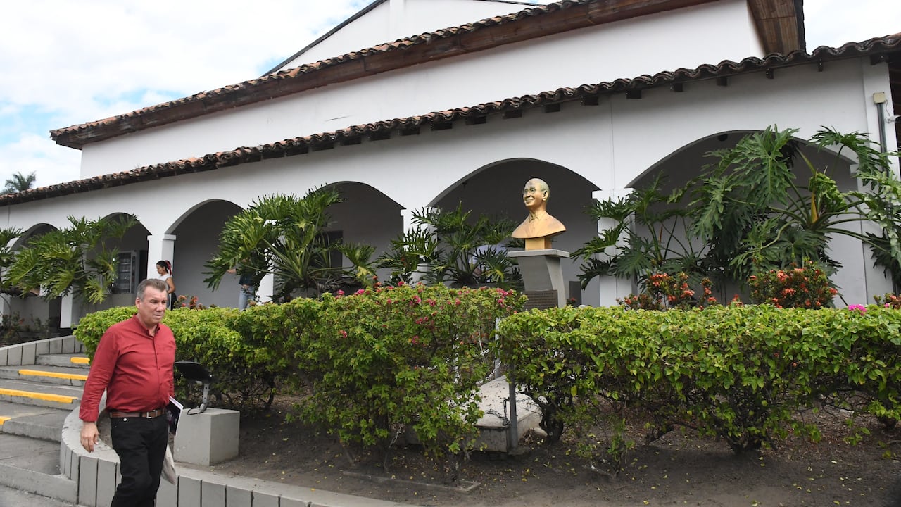 Ingenio Providencia, cultivos de caña, programas de sostenibilidad. Foto José L Guzmán. EL País.