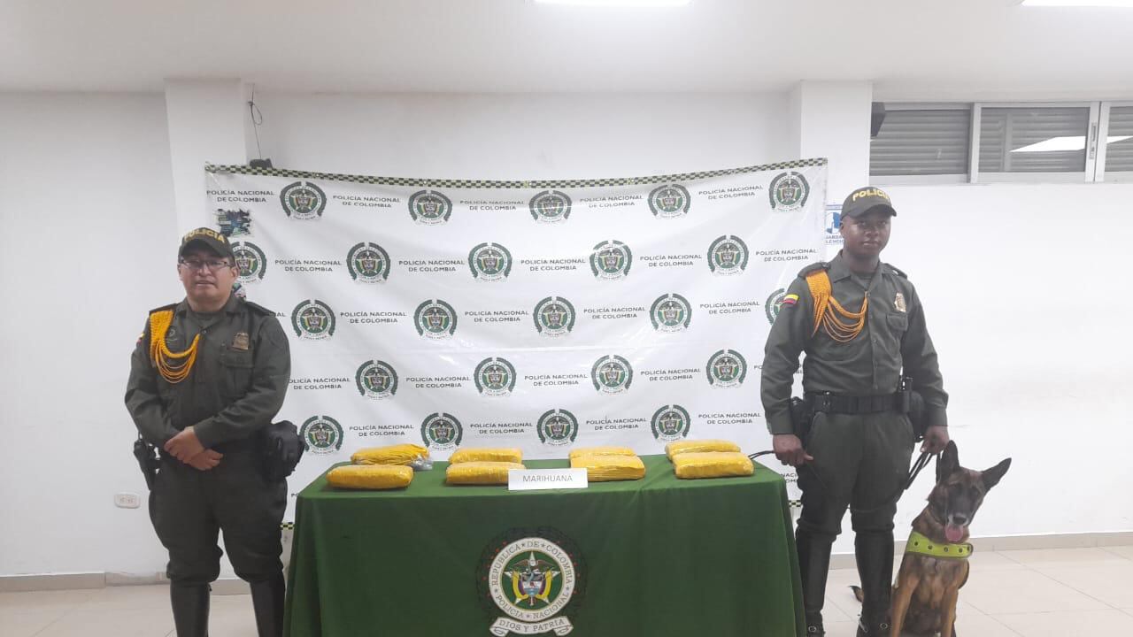 En Palmira fue sorprendida una narco encomienda por el binomio canino de la Policía Nacional