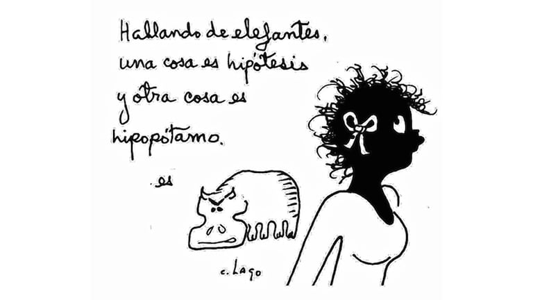 Nieves, 11 de abril de 2026.