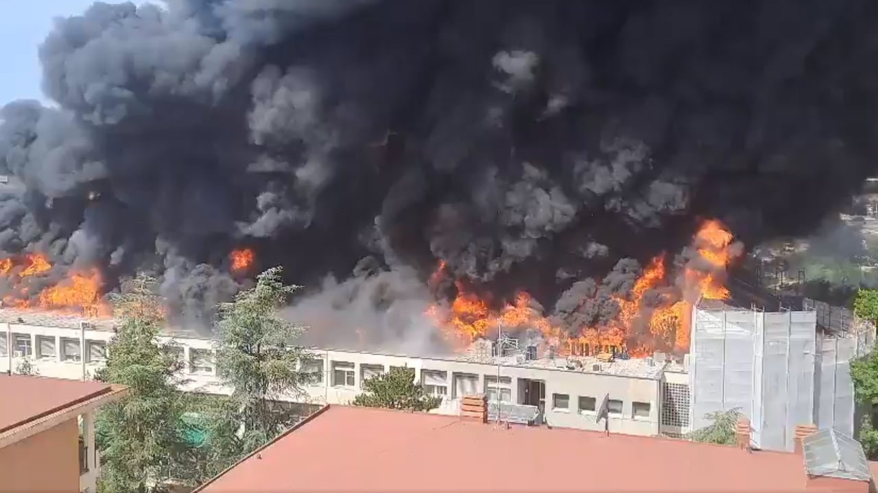 Incendio en la Universidad de Tuscia, Italia