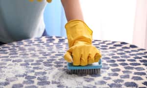 Truco casero para quitar los pelos de las alfombras