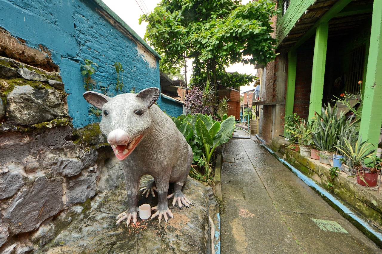 Siloé, en la Comuna 20 de Cali, se ha transformado en un vibrante destino de turismo comunitario, destacando por sus miradores panorámicos (Buena Vista, La Estrella), recorridos en MIO Cable, arte urbano, muralismo y experiencias de café local. Rutas organizadas ofrecen inmersión en la cultura popular, historia de superación y salsa