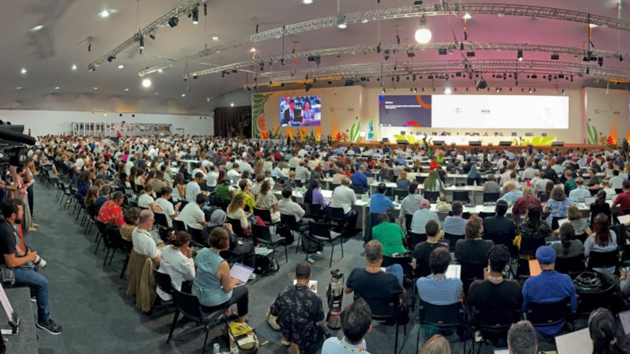 COP30 mantiene la lucha climática