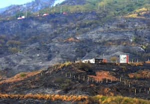 Cali: Varias familias afectadas y una gran extensión de montaña incineradas deja como resultado el incendio presentado en la zona alto de menga, la campiña y barrios aledaños. Los operativos de control de los focos aún persistente continúan.