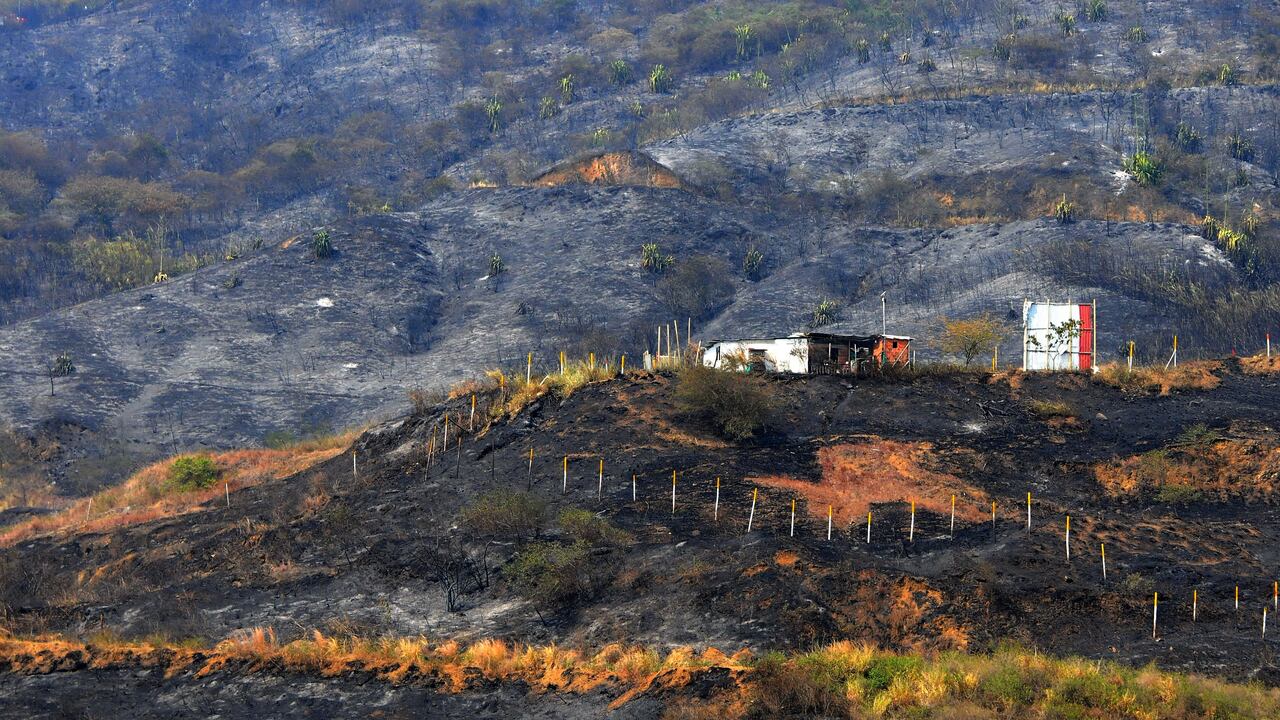 Cali: Varias familias afectadas y una gran extensión de montaña incineradas deja como resultado el incendio presentado en la zona alto de Menga, la campiña y barrios aledaños. Los operativos de control de los focos aún persistente continúan.