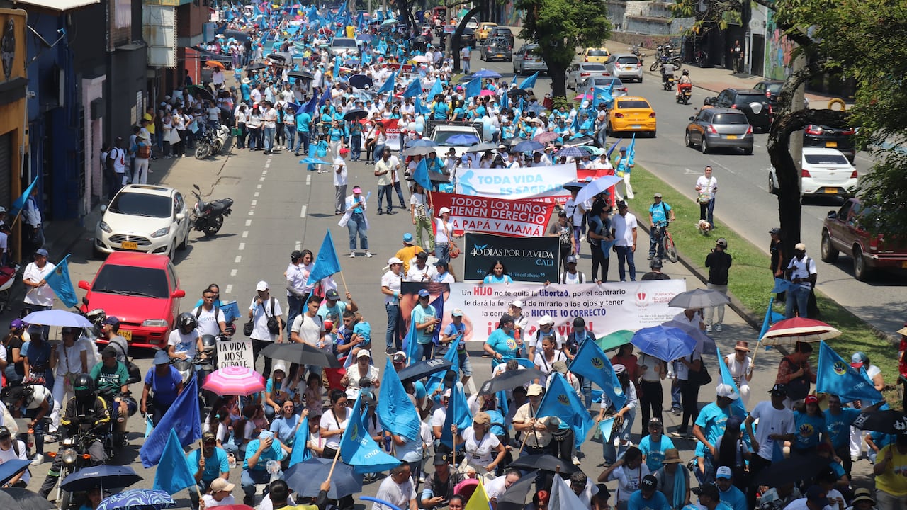Marcha provida contra el aborto liderada por diversas organizaciones católicas para protestar contra las leyes que permiten la interrupción del embarazo.