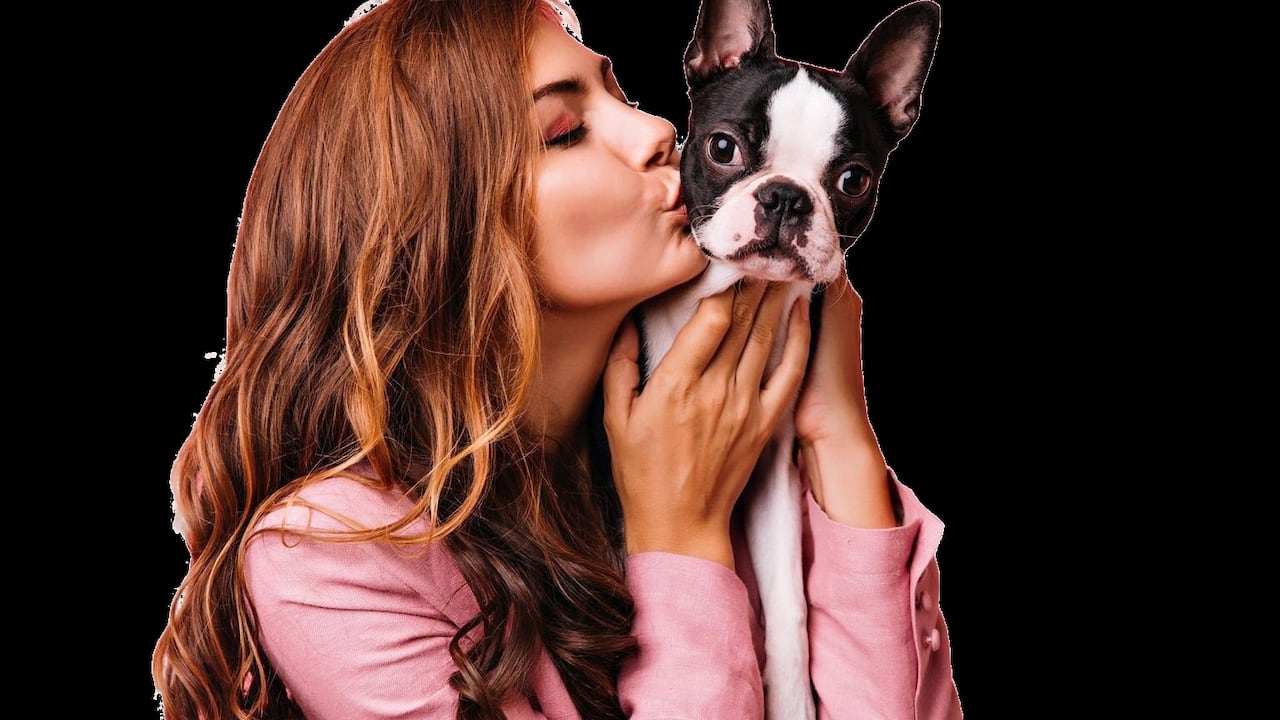La adopción es solo el primer paso. Descubra cómo hacer verdaderamente feliz y sano a un perro.
