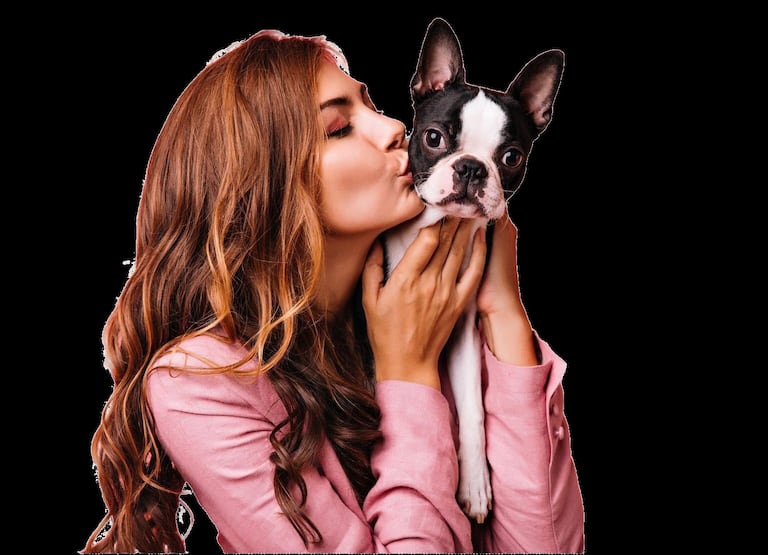 La adopción es solo el primer paso. Descubra cómo hacer verdaderamente feliz y sano a un perro.