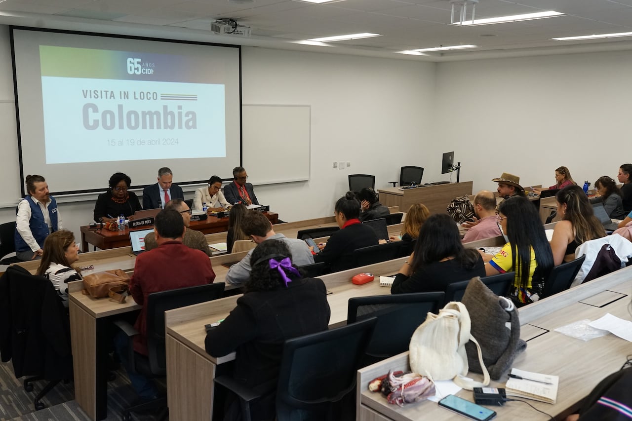 Visita In loco de la CIDH a Colombia en abril del 2024.