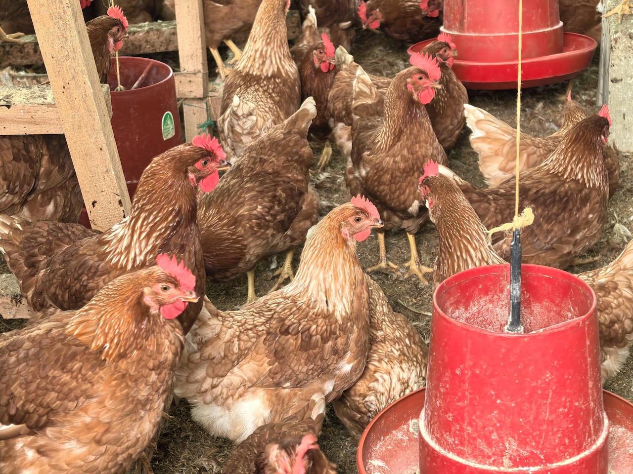 El laboratorio de suelos orienta a campesinos en el uso de tecnología para optimizar recursos y promover una producción limpia y competitiva.