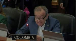 Luis Ernesto Vargas, delegado de Colombia ante la OEA.