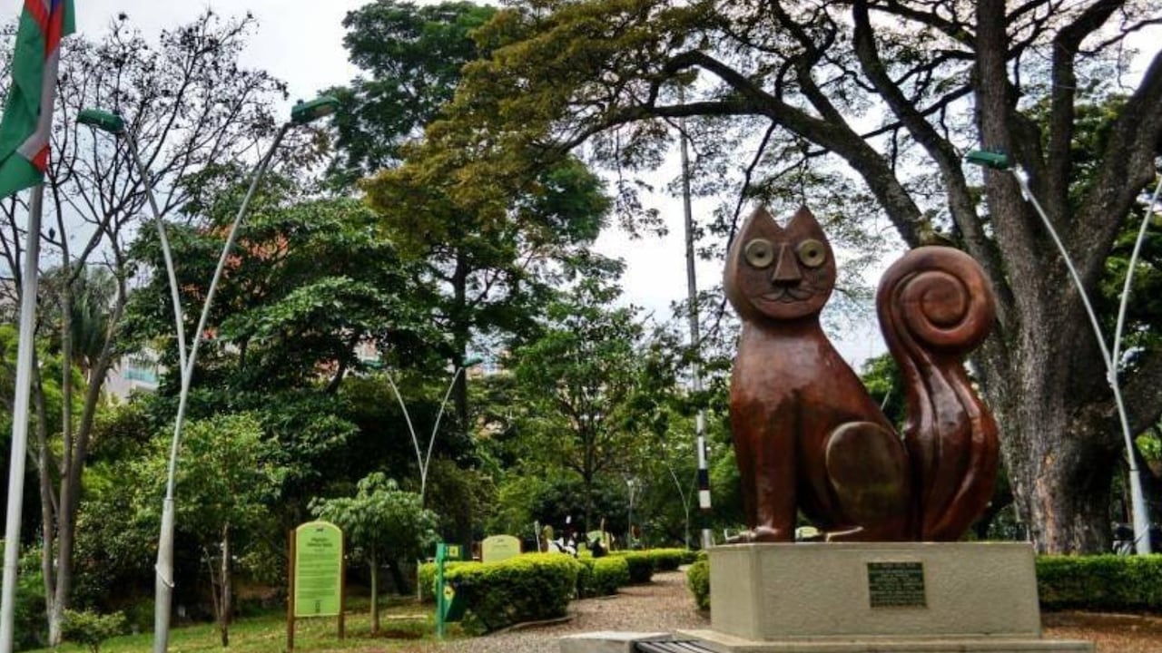 Explore la belleza natural de Cali a través de sus parques y jardines; opciones que puede incluir en su itinerario