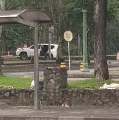 A esta hora de la mañana de este viernes 19 de diciembre, las autoridades verifica la camioneta que fue usada para chocar de frente las vallas de seguridad de la estación sur de la Policía en Popayan.