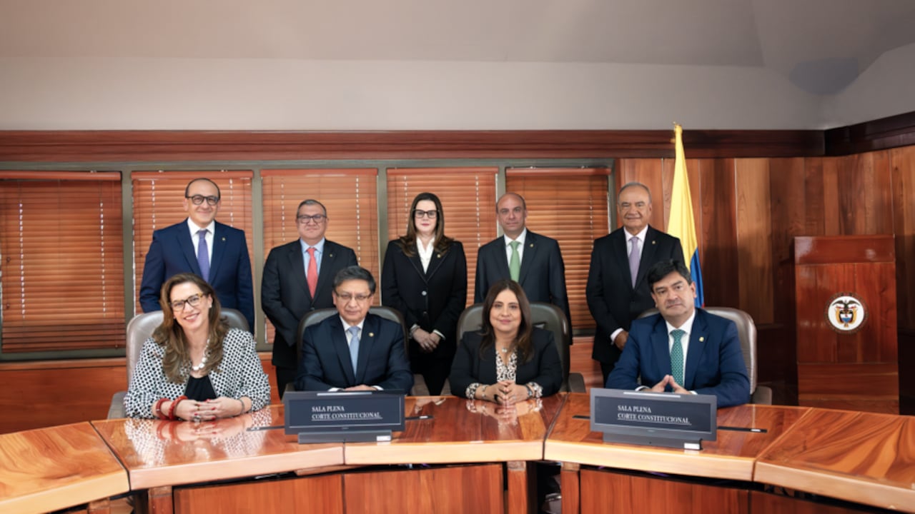 La sala plena de la Corte Constitucional fue la responsable de la decisión.