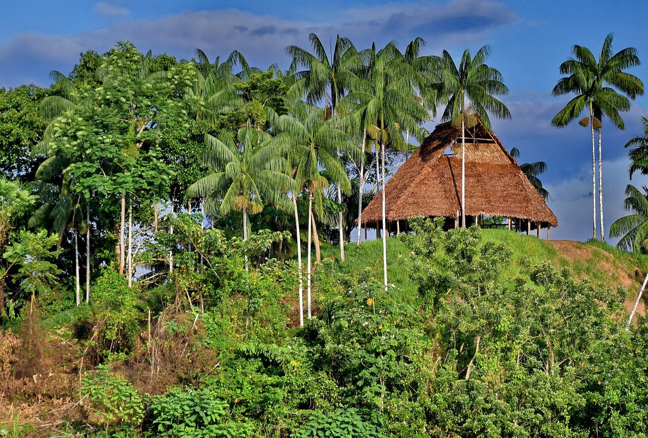 diversidad, aventura, cultura y aprendizaje es lo que tiene por ofrecer Amazonas, ubicado en el extremo sur del país, en gran parte al sur de la línea ecuatorial, en la región Amazonía, un destino que aún está por descubrir.