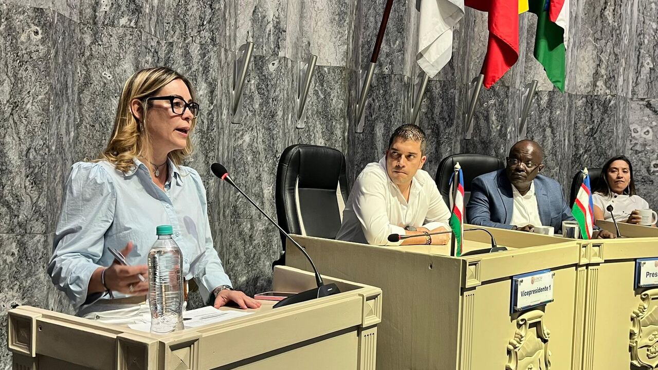 Los concejales hicieron varias críticas a Ana María Martínez, directora del Departamento de Contratación de la Alcaldía.