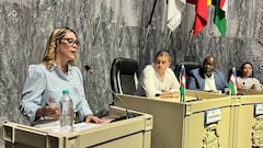 Los concejales hicieron varias críticas a Ana María Martínez, directora del Departamento de Contratación de la Alcaldía.