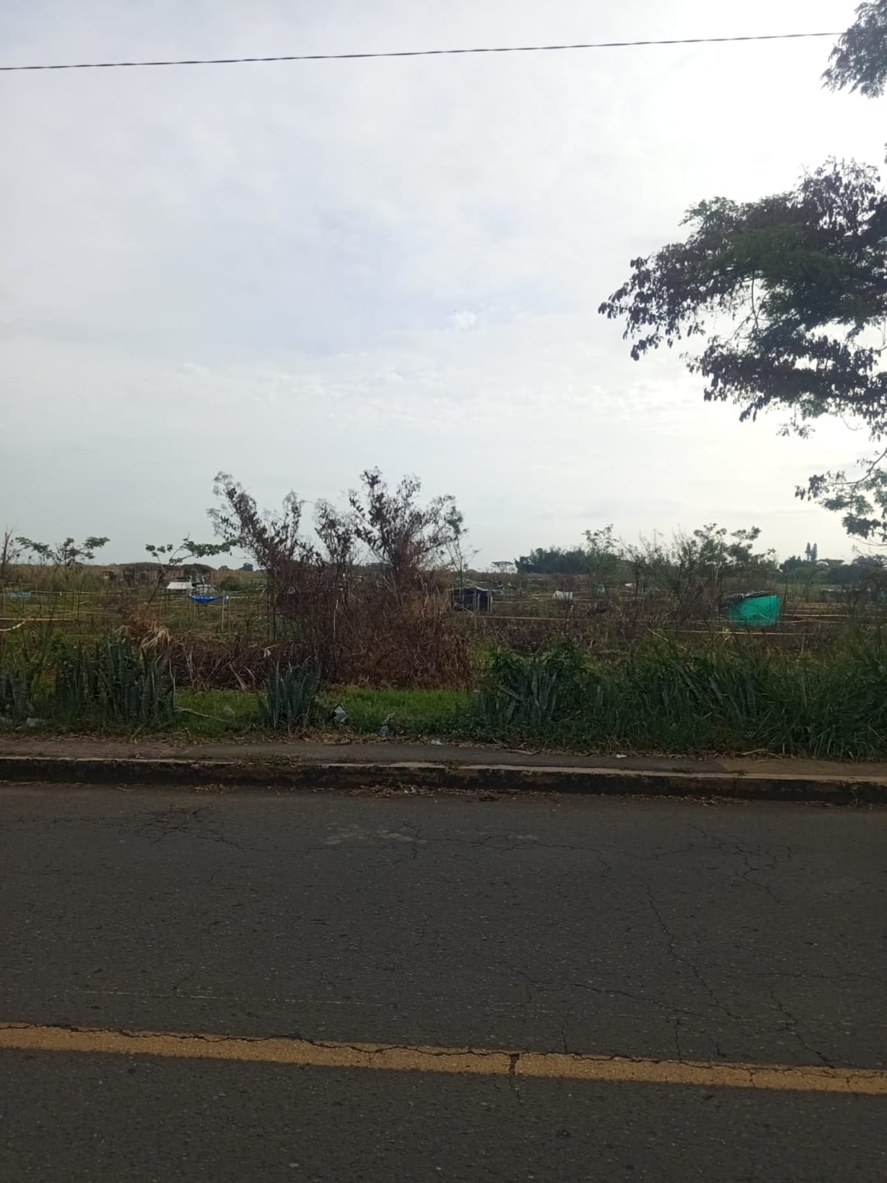 Entre los ocupantes habría personas provenientes de Villa Rica, Guachené, Puerto Tejada, Jamundí y ciudadanos venezolanos.