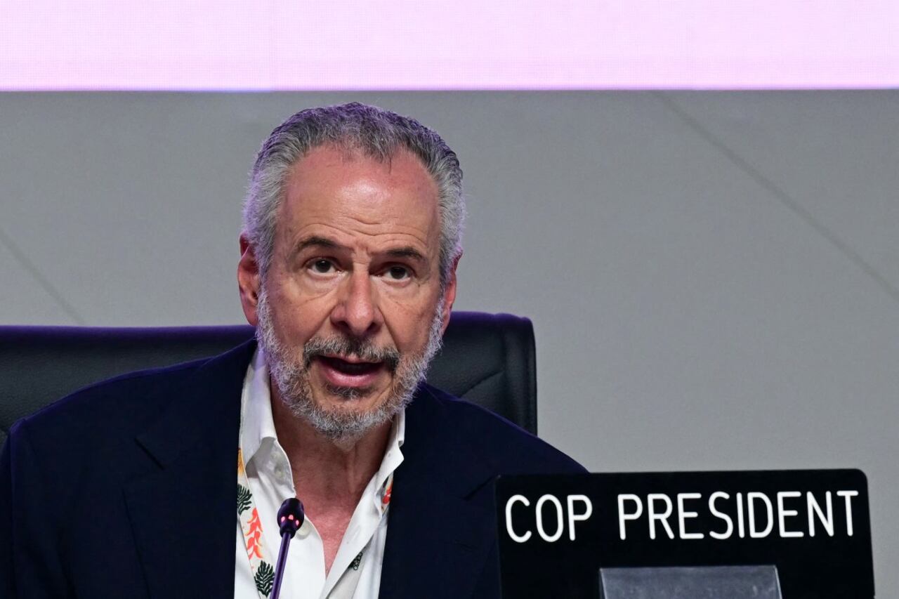 Presidente de la COP 30