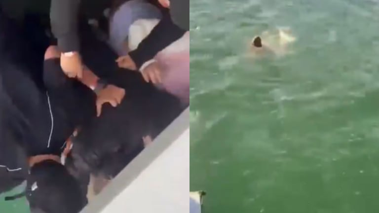 Momento en que se lanza el joven en aguas de Guatapé, Antioquia.