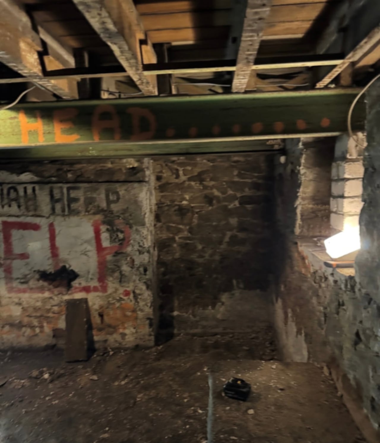 El descubrimiento fue compartido en Instagram y el video se volvió viral, generando reacciones.