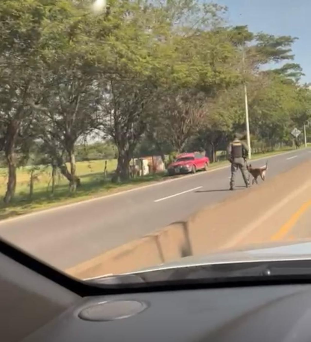 Unidades de antiexplosivos se encuentran en la zona verificando la siuación.
Foto tomada de video en las redes sociales