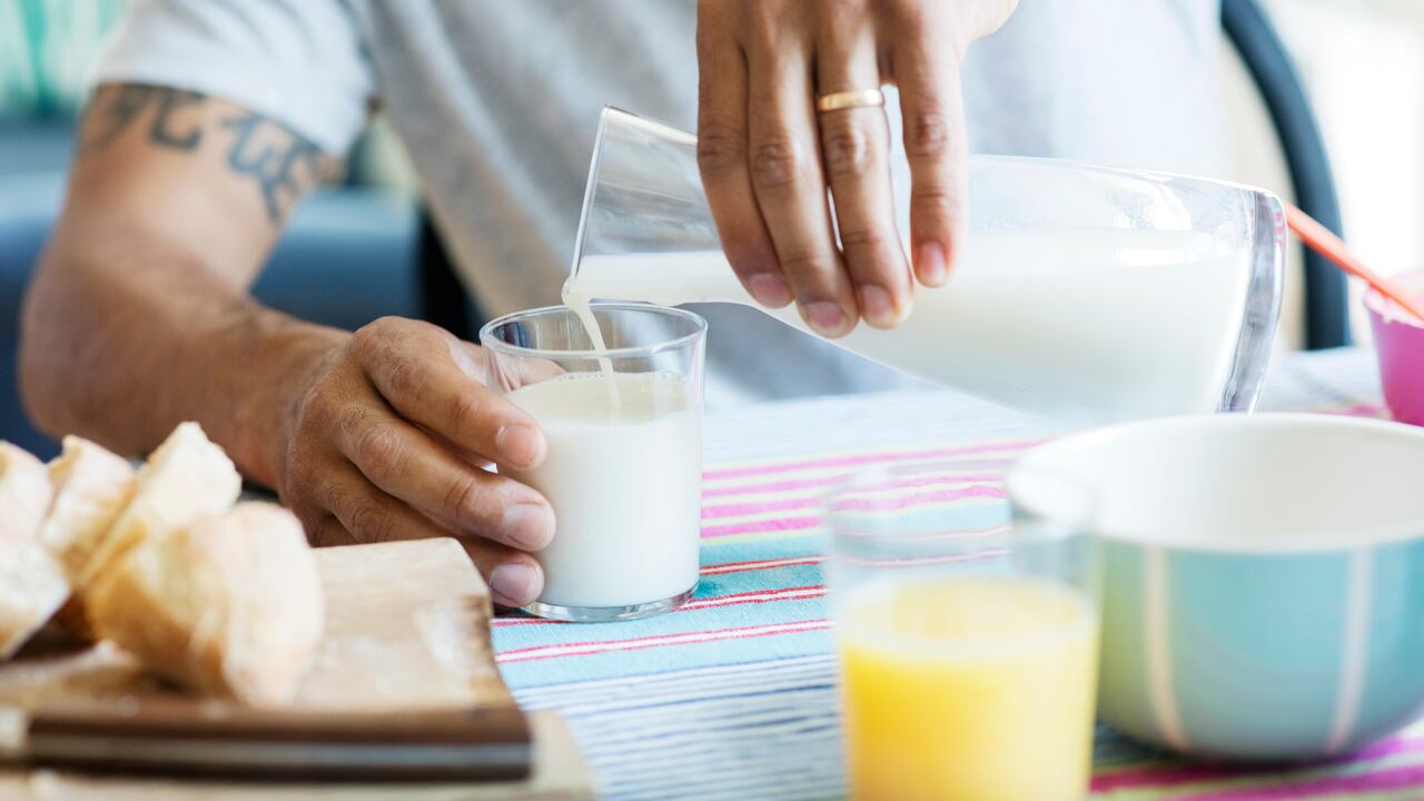 Leche productos lácteos