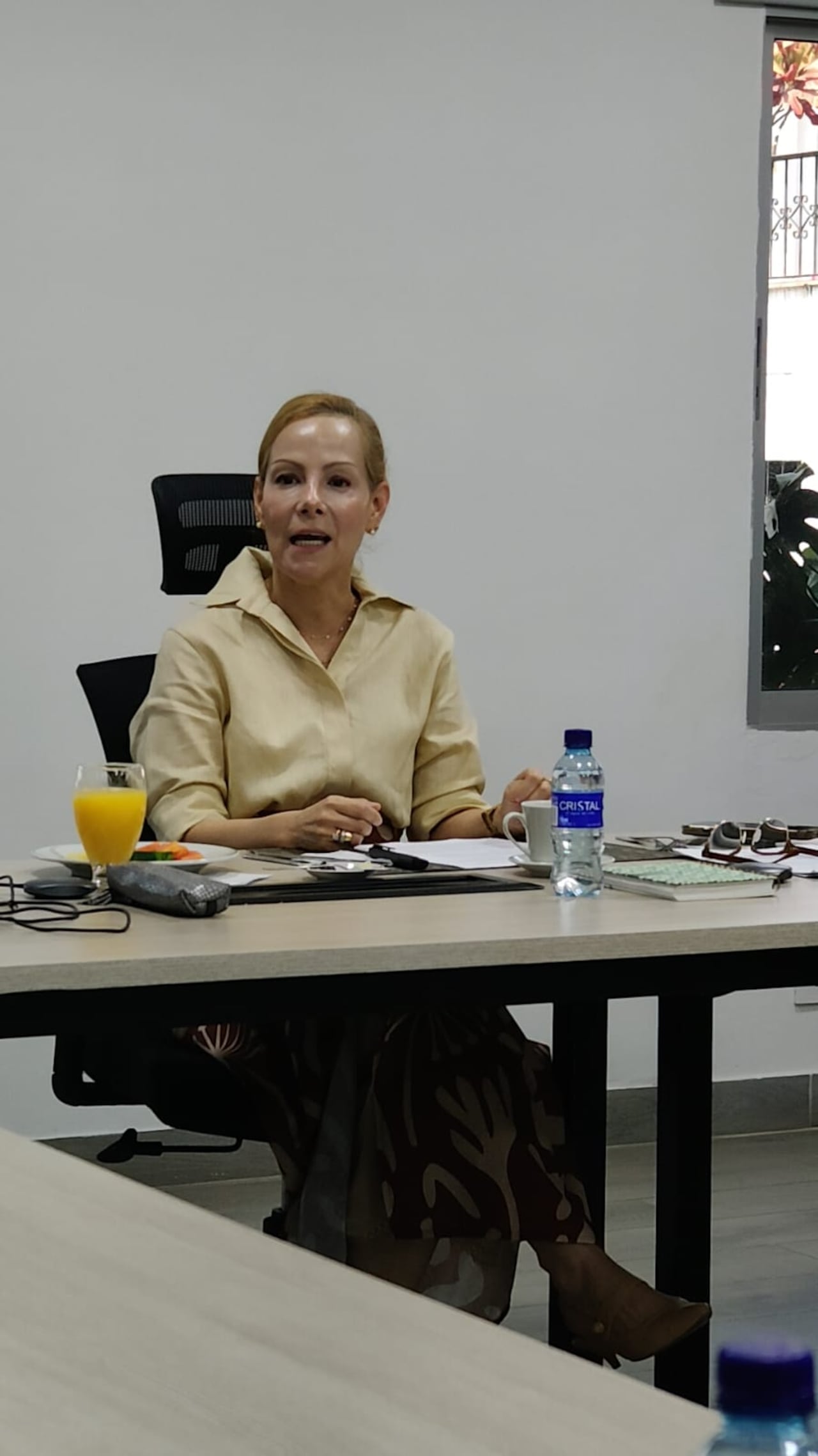 Claudia Calero, presidente de Asocaña, habló sobre el fenómeno de El Niño y su impacto en el cultivo.