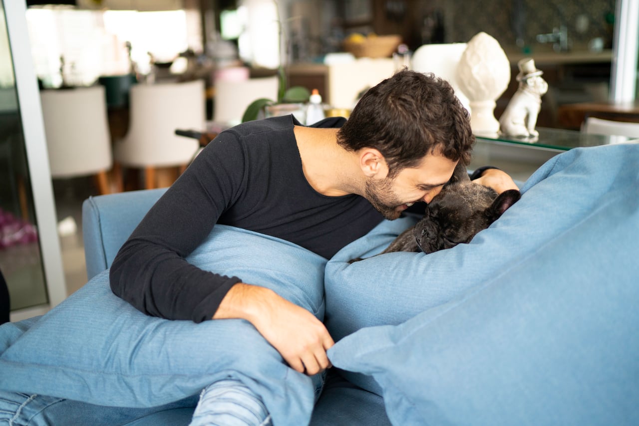 Para quienes desean deshacerse del olor a perro y recuperar la frescura en cada rincón de su casa, existen enfoques meticulosos y efectivos disponibles para su consideración.