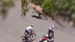 Juan Sebastián Molano abandonó la carrera.