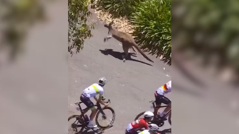 Juan Sebastián Molano abandonó la carrera.