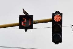 Cali: Semáforos nuevos y viejos sin funcionar y en mal estado son uno de los mayores causantes del caos vehicular de la ciudad. foto José L Guzmán. El País