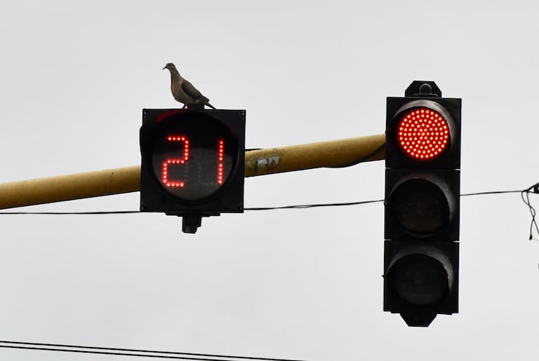 Cali: Semáforos nuevos y viejos sin funcionar y en mal estado son uno de los mayores causantes del caos vehicular de la ciudad. foto José L Guzmán. El País